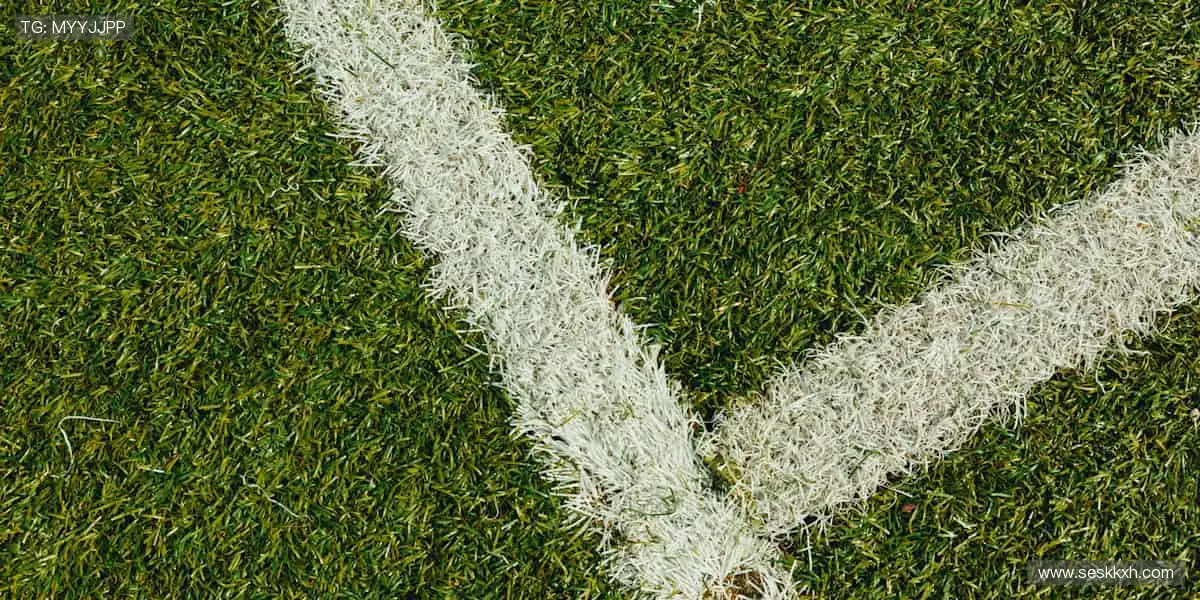 运动不止,热爱有痕 —— 你的专属装备库!🎁